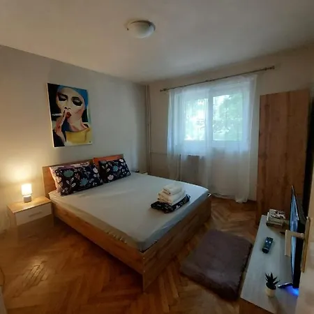 The Vintage Apartament *